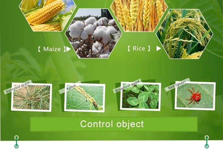High Effective Pest Control Insecticide 5% Ec Abamectin Nematode