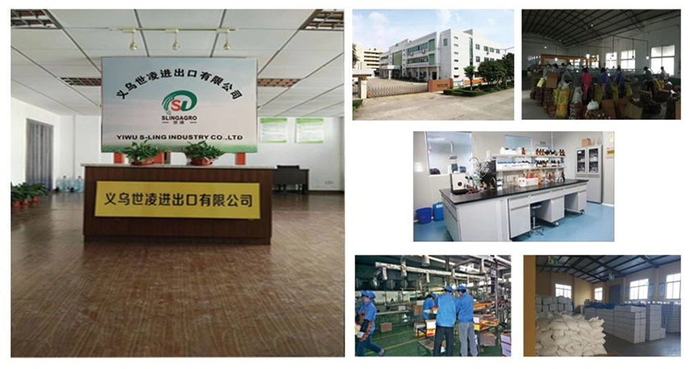 Highly Effective Pest Control Pesticide Dinotefuran 70%Wp 20%Wp