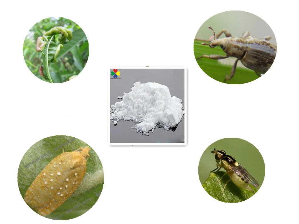 Highly Effective Pest Control Pesticide Imidacloprid 95%Tc