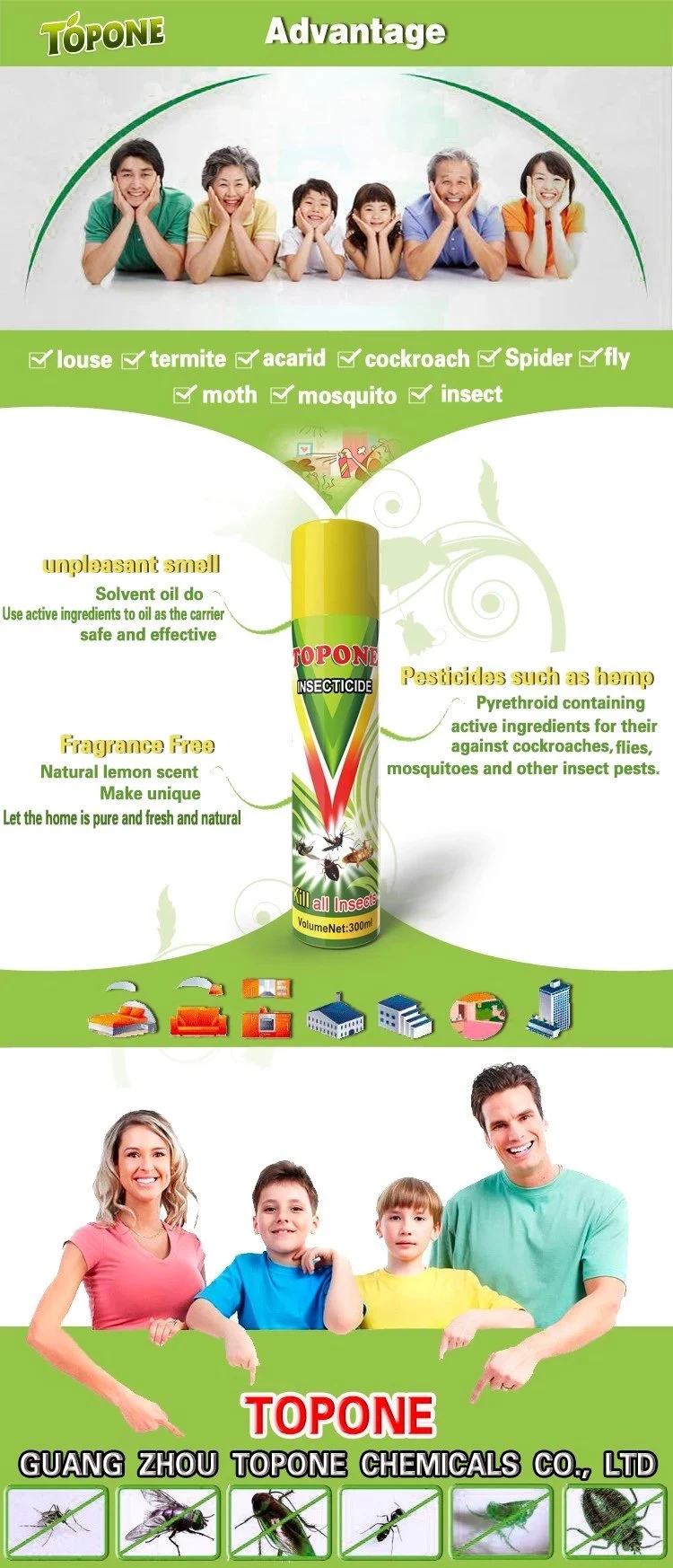 Topone 750ml OEM Pesticide Pest Killer Insecticide Spray for Home