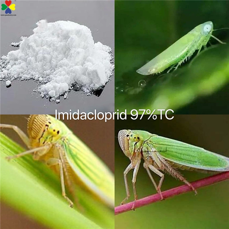 Best Effective Pest Control Products Imidacloprid Sc Use