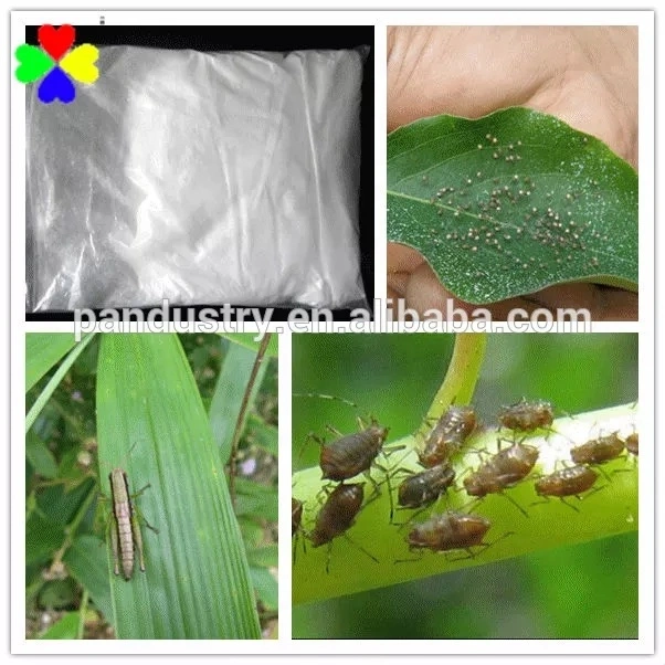 Effective Control Pest Insecticide Clothianidin 97%Tc 50%Wg