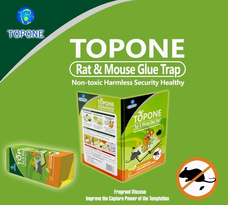 Wholesale Mouse&Rat Glue Traps Humane Rodent Glue Board for Mice Rats Mouse Insect Catching