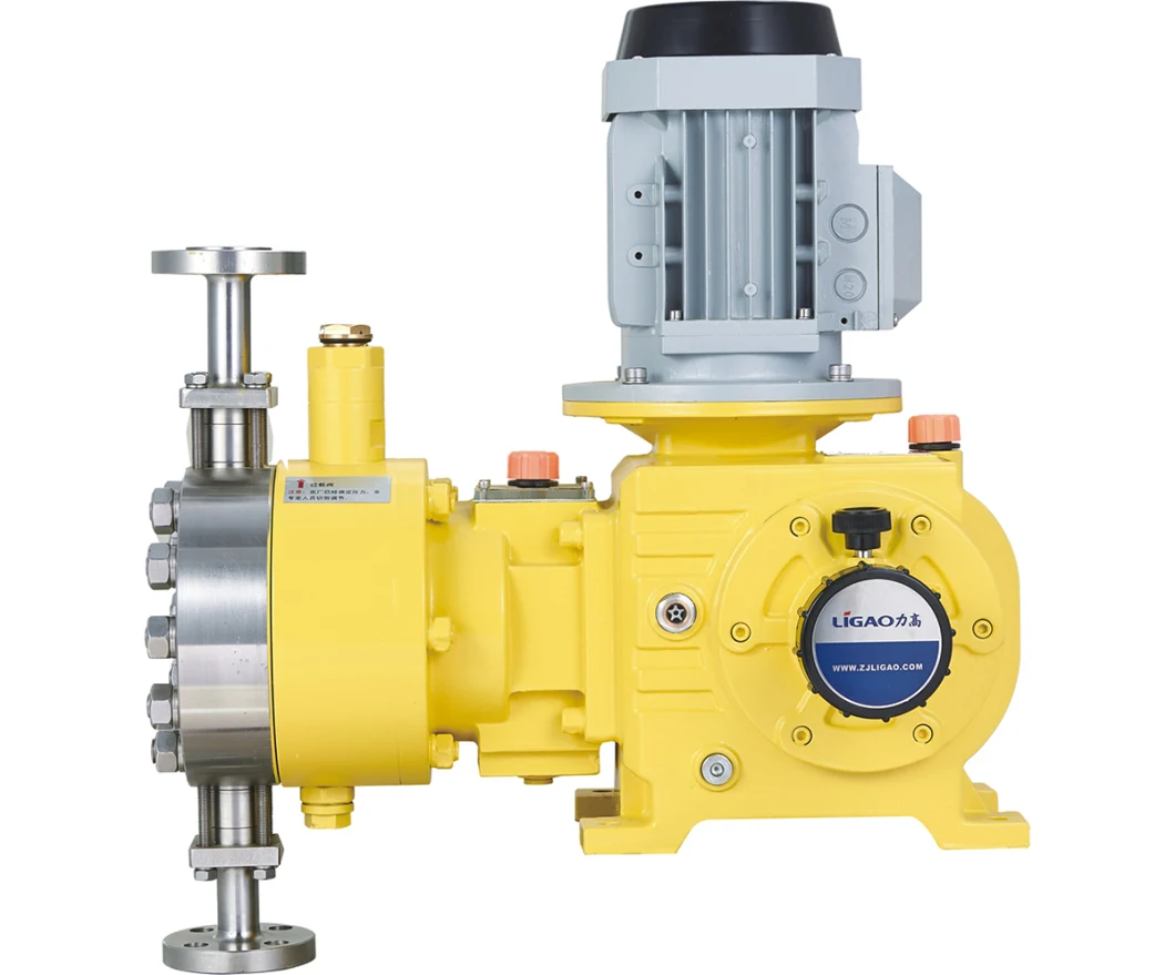 Non-Leakage Diaphragm Metering Pump Hydraulic Dosing Pump