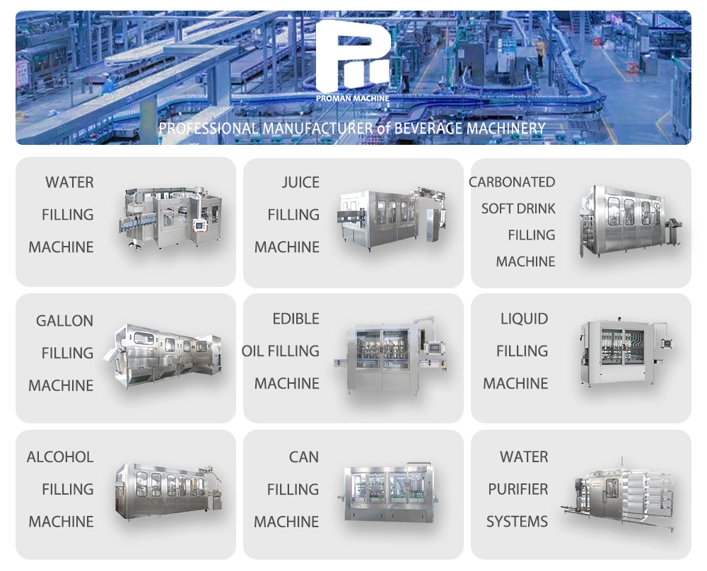 Full Automatic Reverse Osmosis RO Water Treatment Supplied Water Bottling Filling Machine Water Filter Dairy Machine