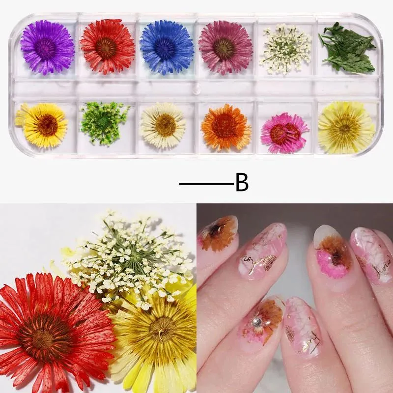 Colorful 3D Nail Polish Dried Flower for Nails Art Decoration