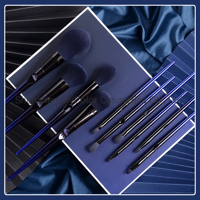 Luxury Makeup Brushes 10PCS Professional Make up Brush Set with Cosmetics Package
