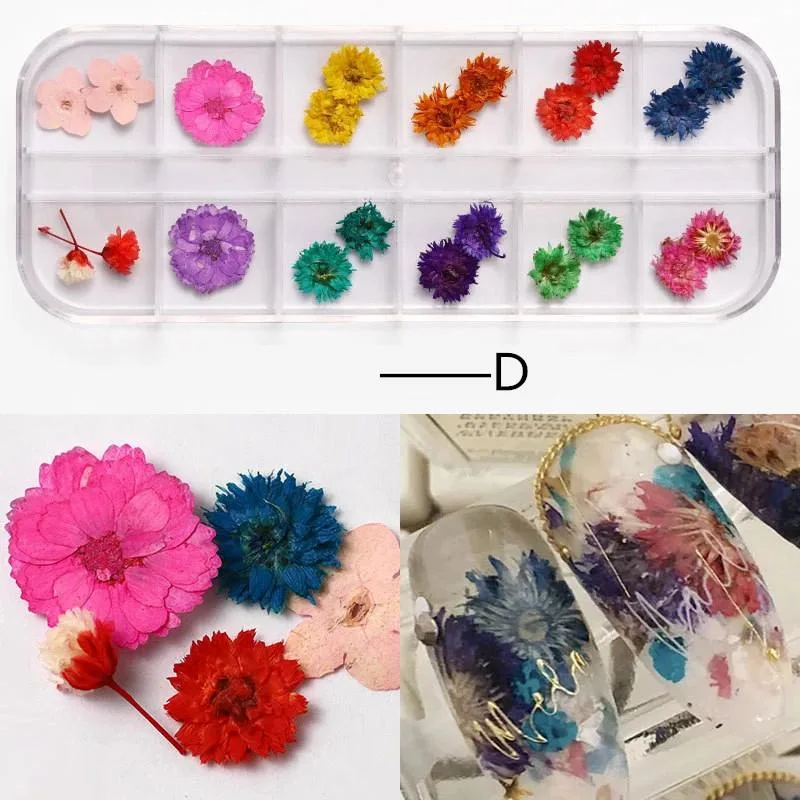 Colorful 3D Nail Polish Dried Flower for Nails Art Decoration