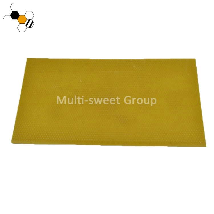 Beekeeping Foundation Sheet Bee Plastic Foundation for Beehives