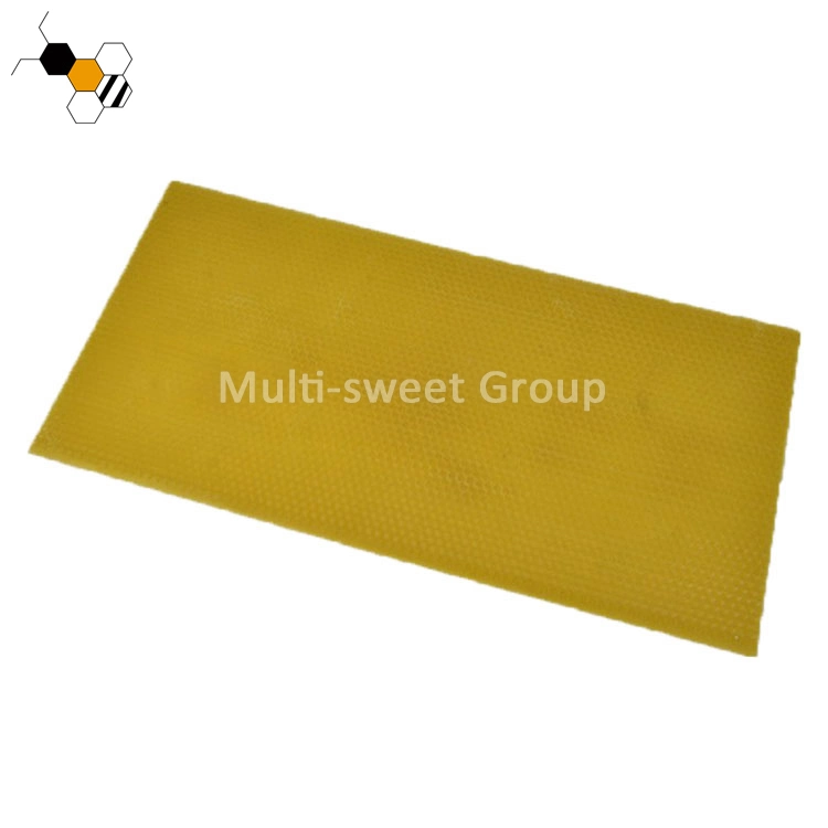 Beekeeping Foundation Sheet Bee Plastic Foundation for Beehives