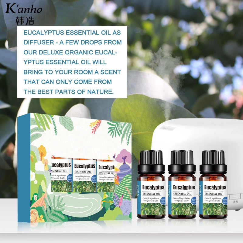 Kanho OEM Top 3 Eucalyptus Essential Oil Private Label Essential Oil Aromatherapy Oil Herbal Extract Natural