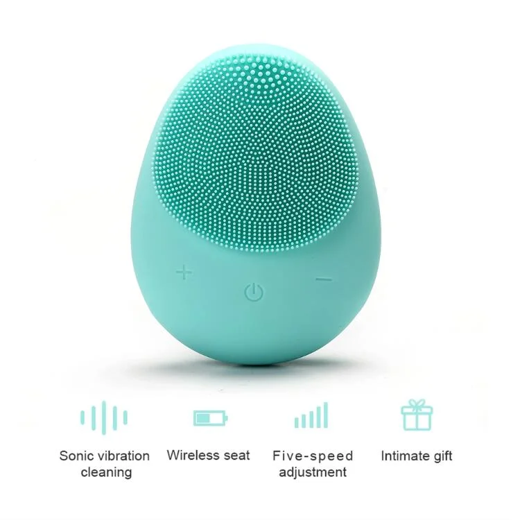Multi-Functional Beauty Facial Cleansing Brush/Massager Skin Care Face Cleaning Brush
