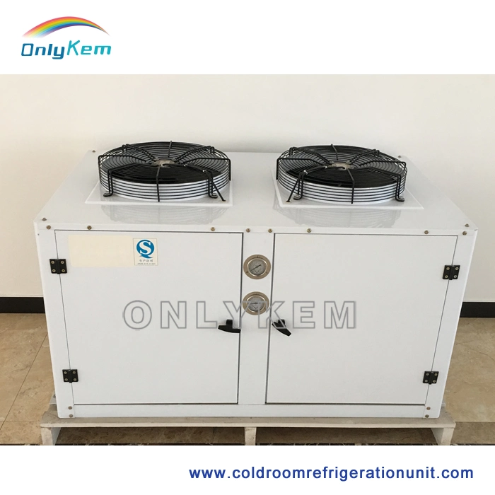 Cold Storage Room Refrigeration Equipment Condensing Unit with Bitzer Compressor