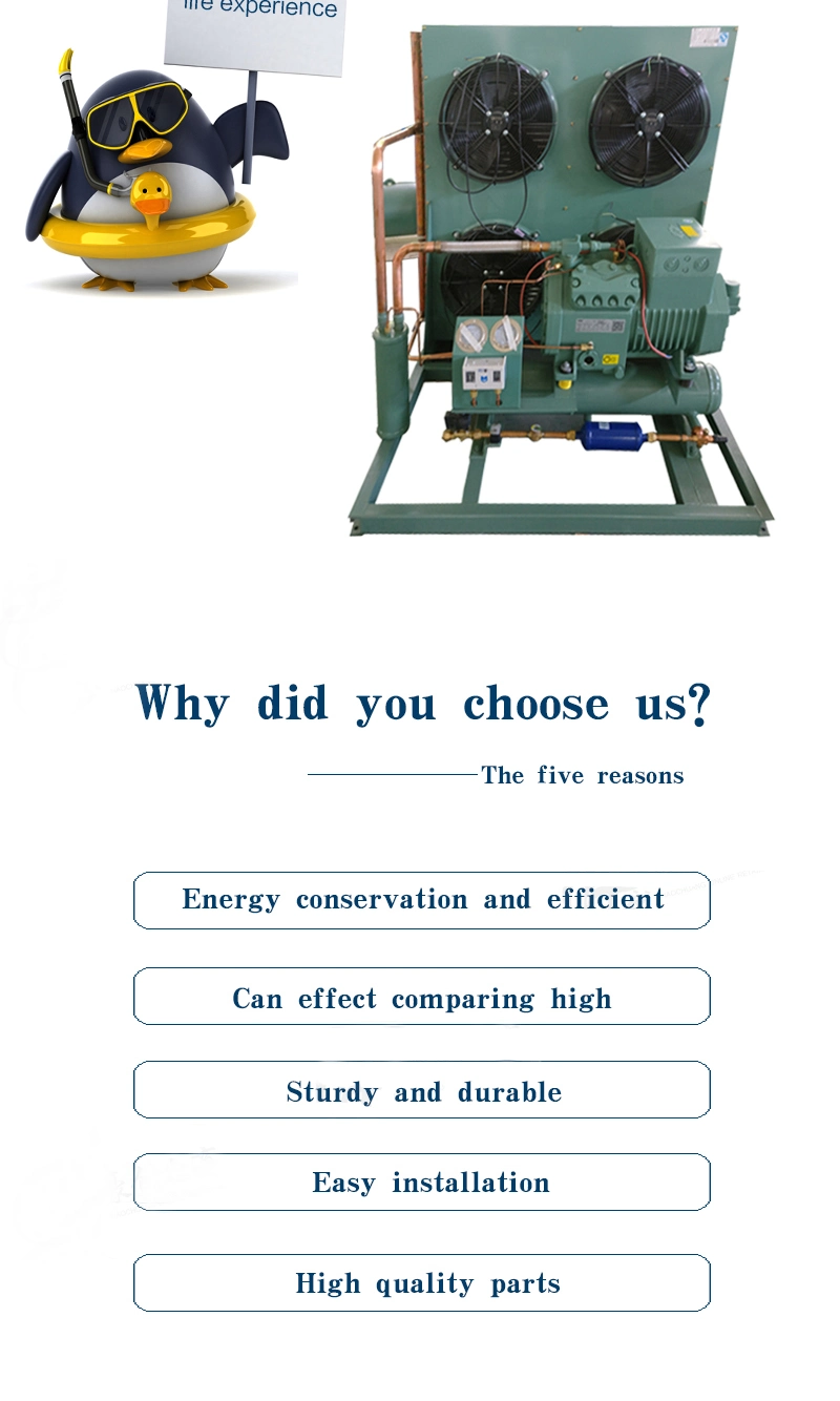 Refrigeration Station with Condensing Unit Compressor Unit and Refrigeration Unit for Freezer Cold Storage Room