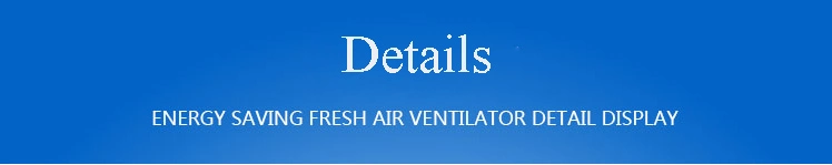 Large Heat Recovery Fresh Air Unit/Air Handling Unit/Air Cooled Unit/Ahu Factory