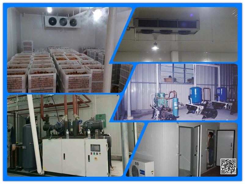 High Performance Condenser Unit Refrigeration Unit Condensing Unit Bitzer