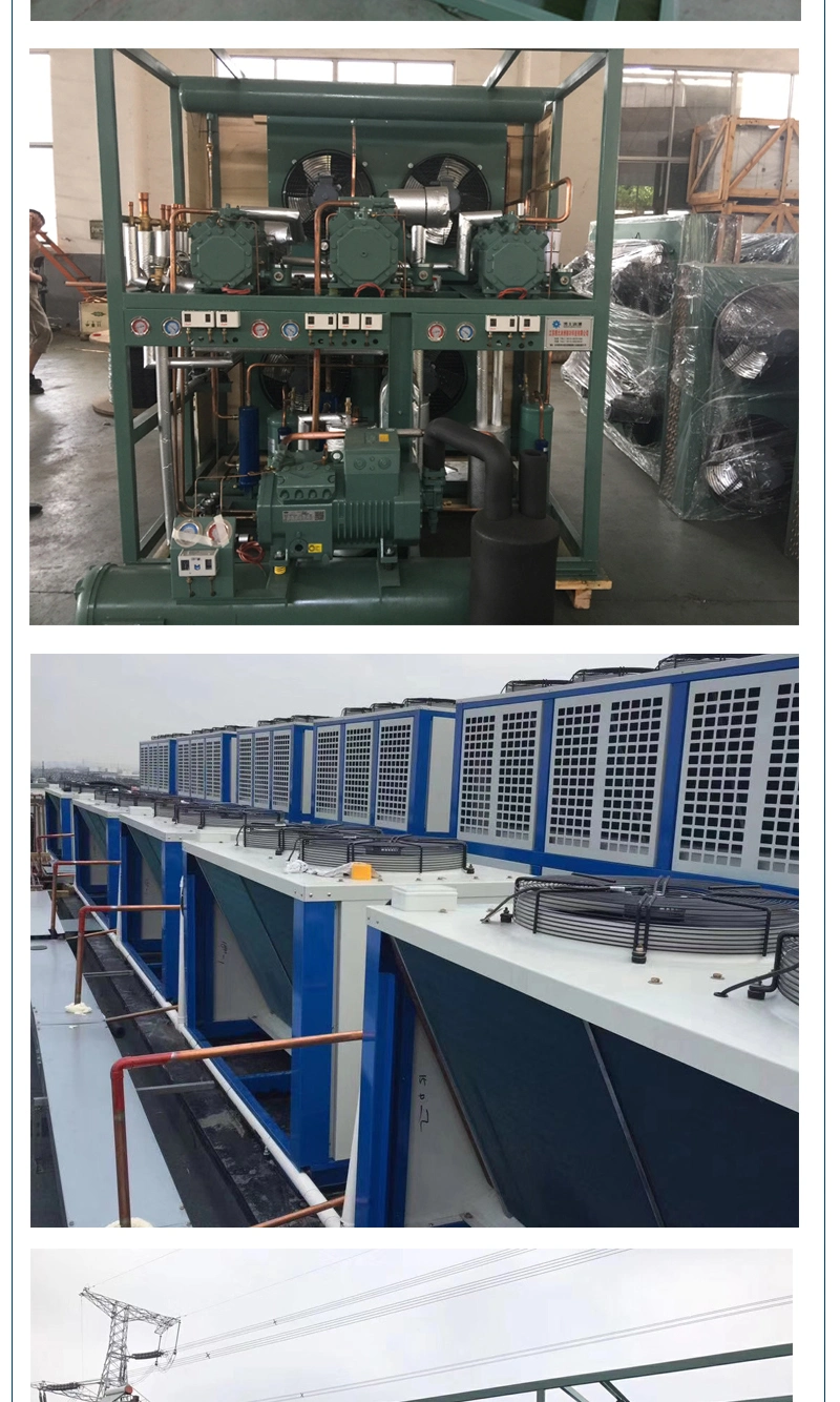 Bizter Semi-Hermetic Piston Industrial Commercial Refrigeration Compressor Equipment with Air or Water Cooled Condensing Unit
