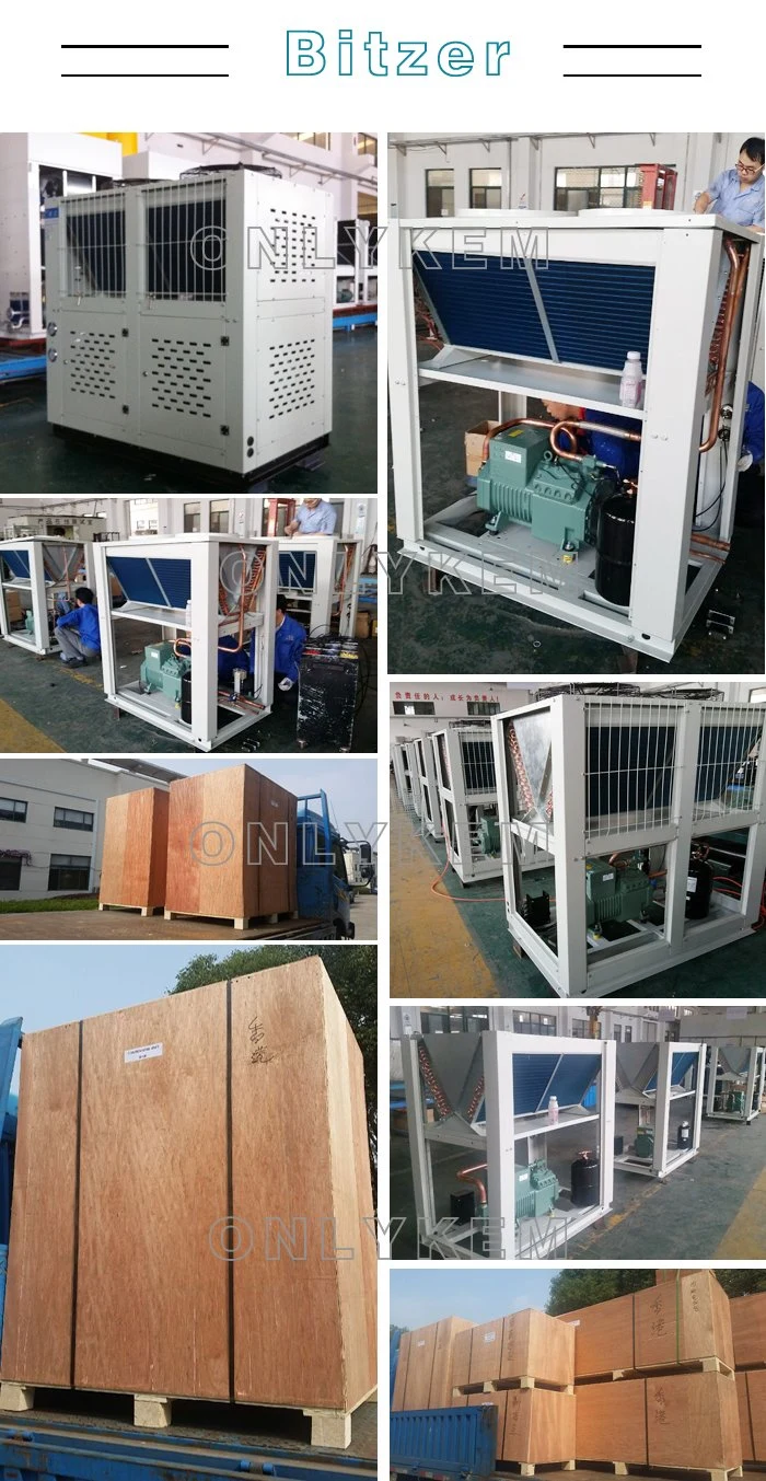 Refrigeration Condensing Unit with Compressor/ Condensing Unit for Cold Room
