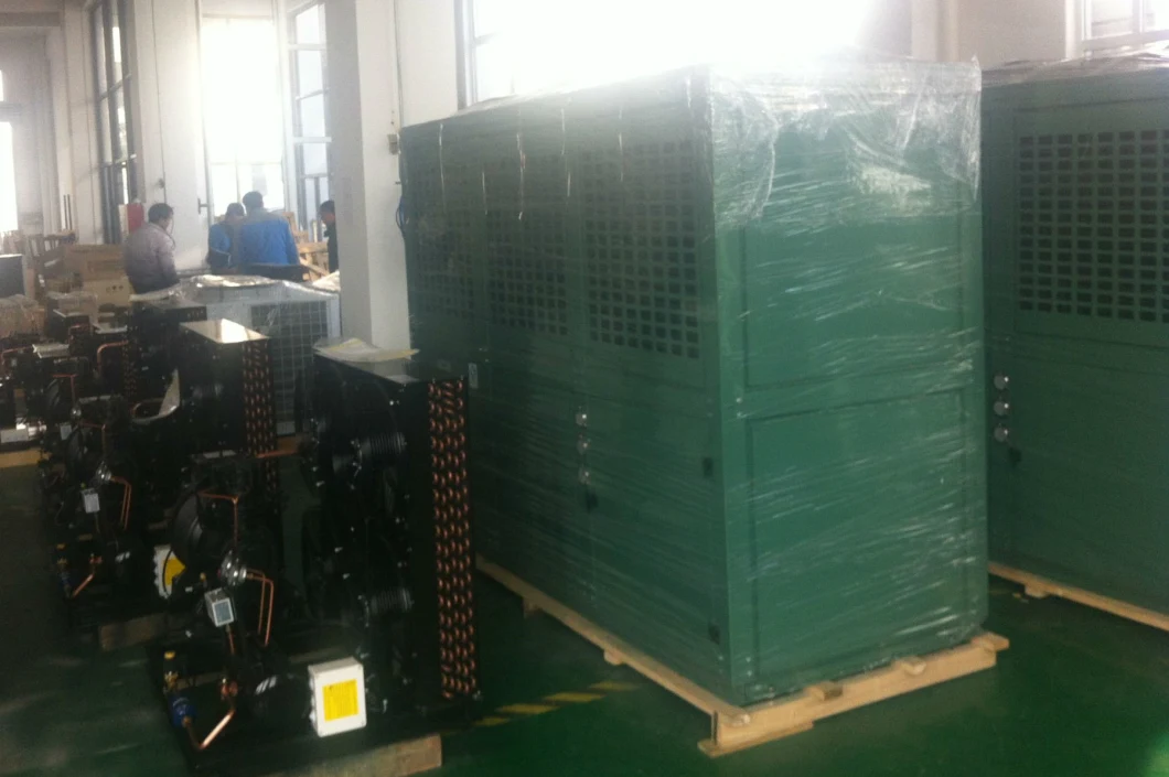 Low Temperature Air Cooled Condensing Unit for Freezer Room