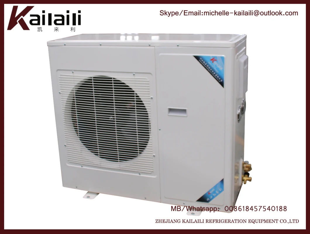 Combined Cold Storage Emerson Copeland Compressor Refrigeration Condensing Units From China