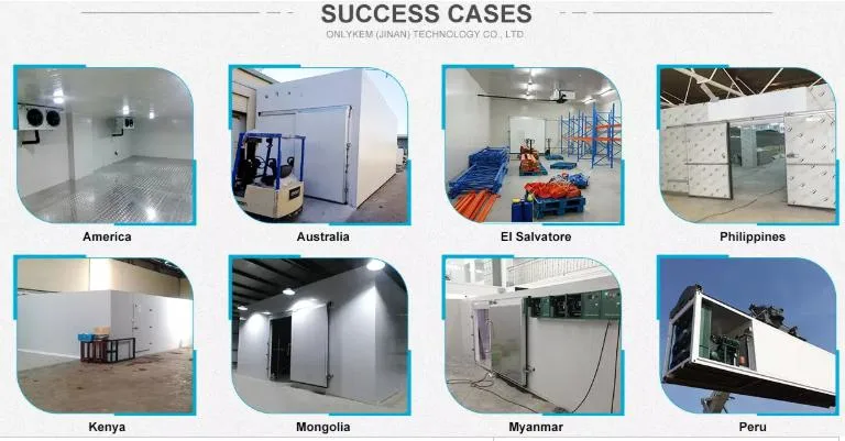Ce Certificate Cold Room with Air Cooled Condenser for Food