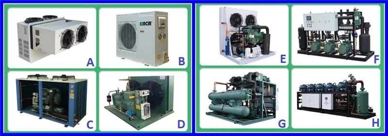 Bitzer Water Cooling Air Cooling Cold Room Condensing Unit Refrigeration Unit