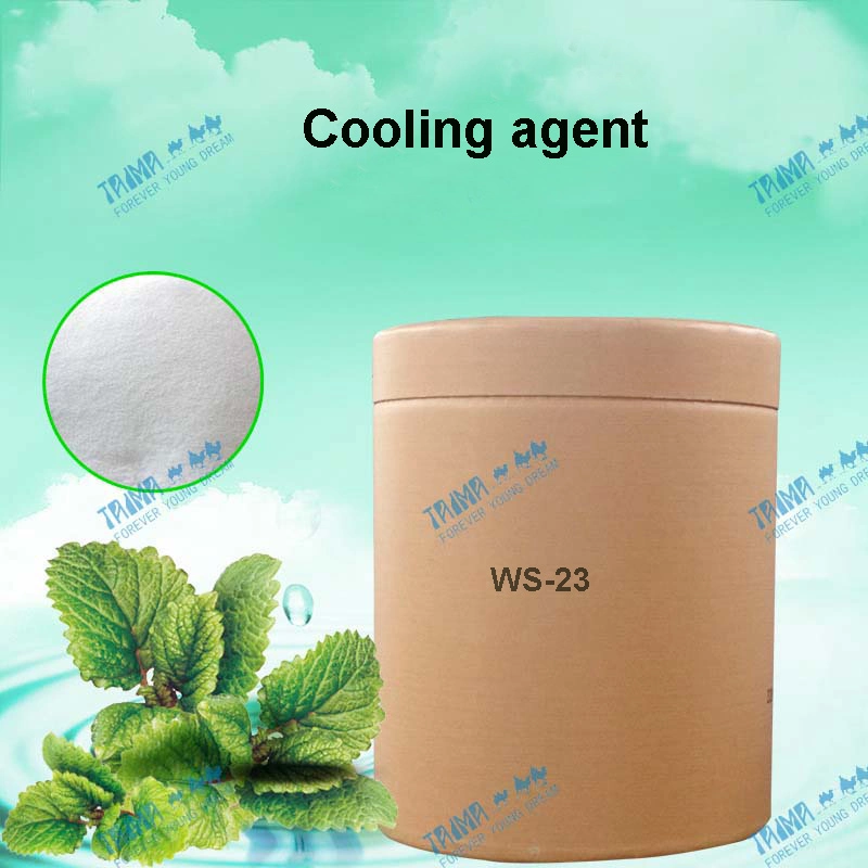 Food Grade Mint Cooling Effect Powder Ws 23 Cooling Agent UK