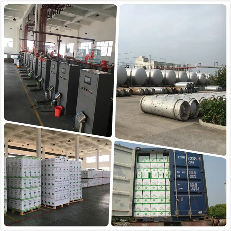China Supplier Refrigerant Gas 417A Air Condition Gas R417A Hot Sale