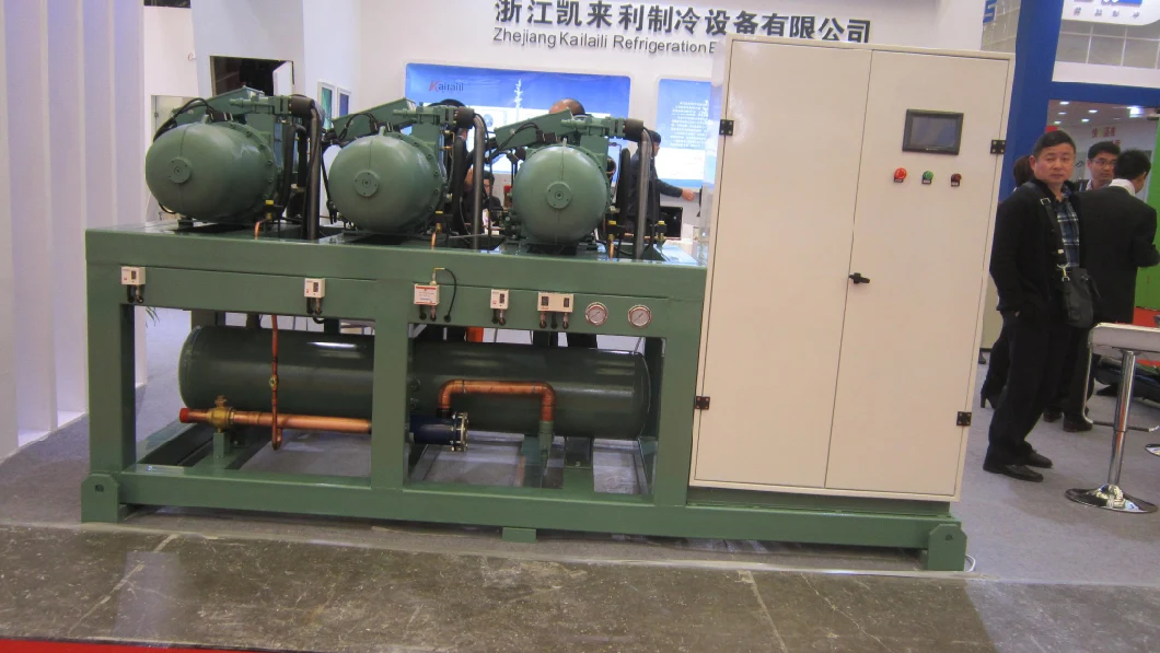 Chinese Manufactory High Temperature Screw Bitzer Brand Compressor Condensing Unit