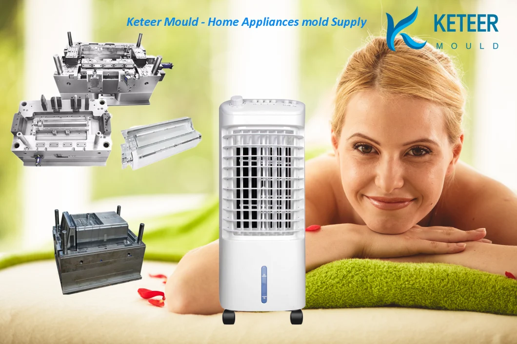 Air Cooler Mould/ Mini Air Conditioner Plastic Mould in Home Appliances Mould