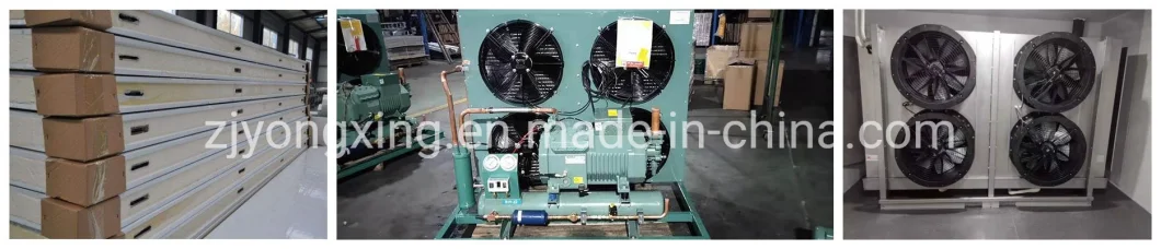 Condensing Unit with Bitzer Semi-Hermetic Compressor for Cold Storage Room