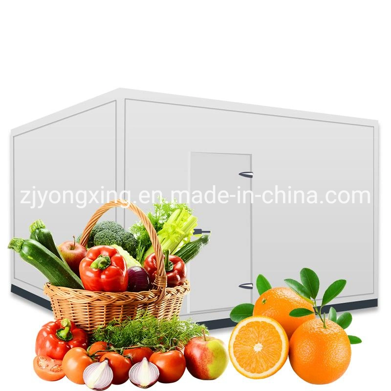 Condensing Unit with Bitzer Semi-Hermetic Compressor for Cold Storage Room