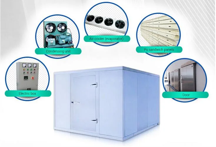Cold Room Parallel Refrigeration Air Cooled Condensing Unit