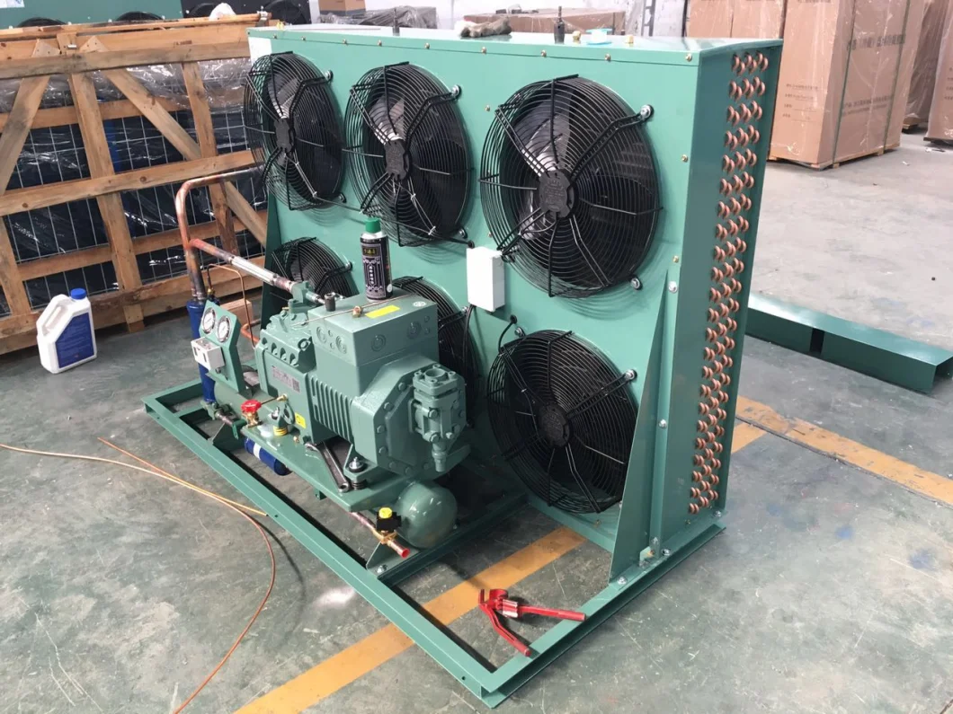 40p Semi Hermetic Compressor Air Cooled Condensing Unit (with Bitzer compressor)