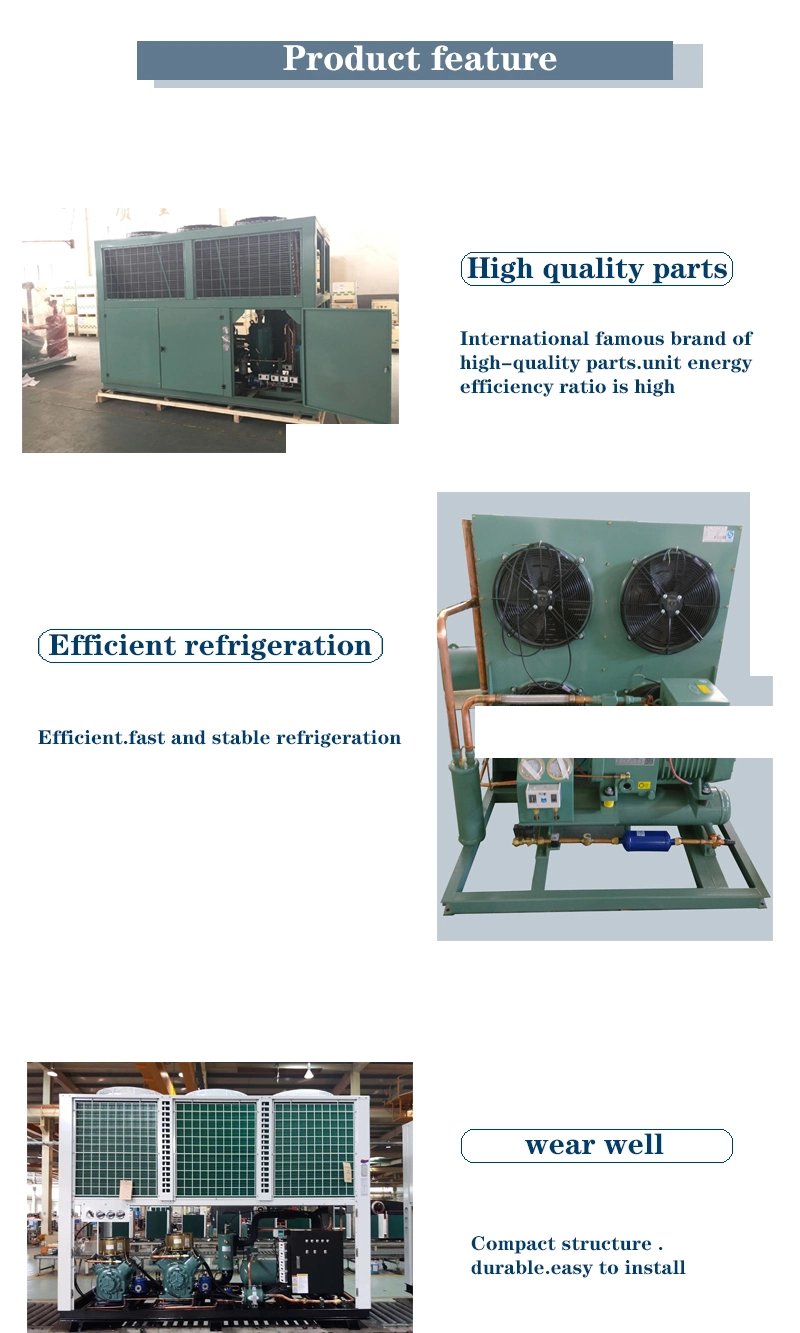 High Efficient Air-Cooled Bizter Semi-Hermetical Refrigerator Compressor Condensing Units