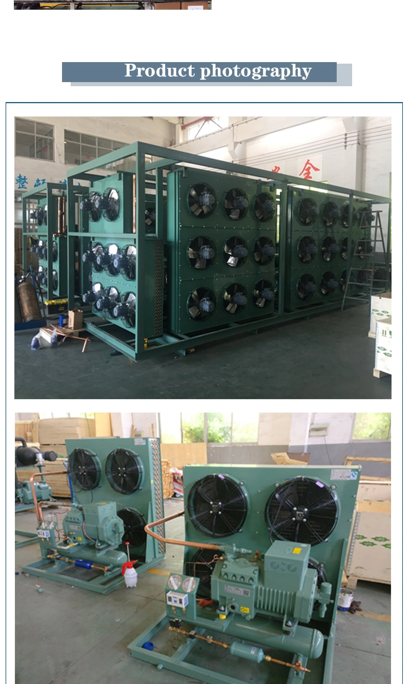 High Efficient Air-Cooled Bizter Semi-Hermetical Refrigerator Compressor Condensing Units