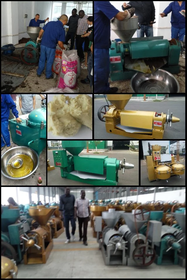 Water Cooling Peanut Oil Milling Plant Equipment /Coconut Oil Press Machine Yzyx120SL
