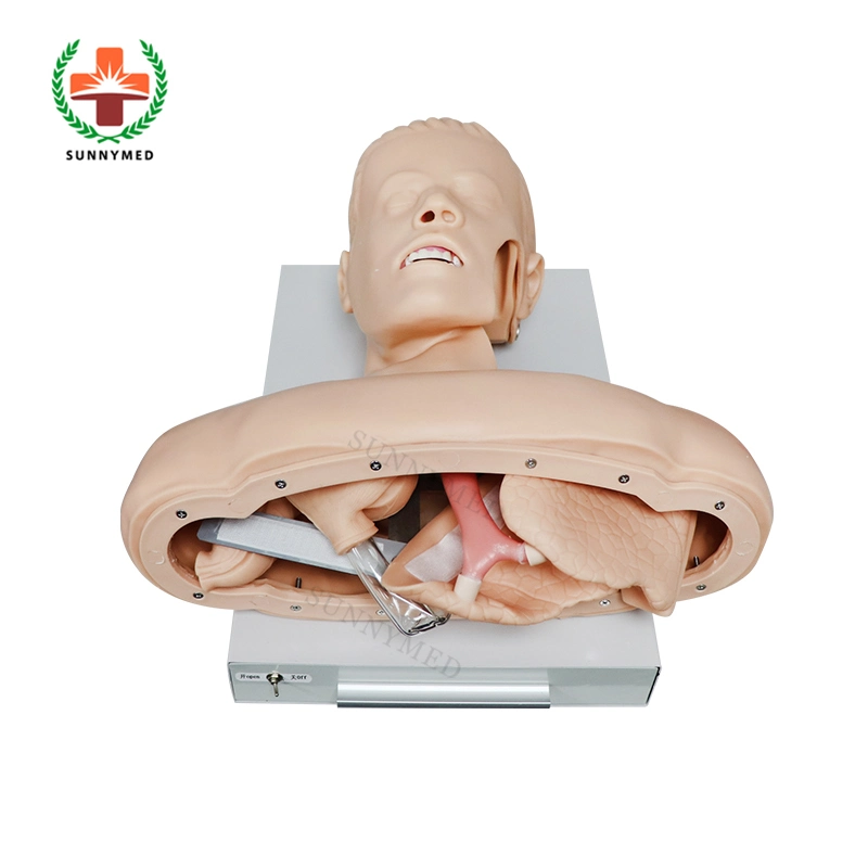 Sy-N04402 Medical Trachea Intubation Training Model for Sale