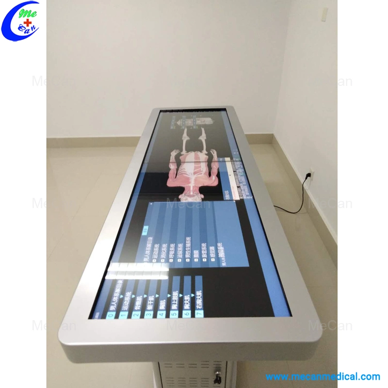 Touch Screen 3D Anatomy Education Virtual Anatomy Table