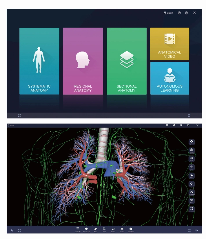 Virtual Anatomy Table 3D Body Anatomy System, Anatomage Table for University