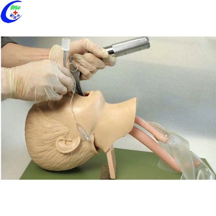 Tracheal Intubation Airway Manikin Trachea Intubation Training Model