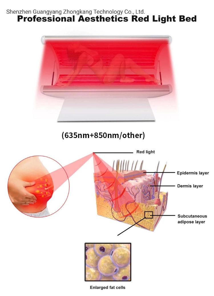 Low Light Laser Therapy 660 and 810nm Wavelength Red Light Therapy Bed