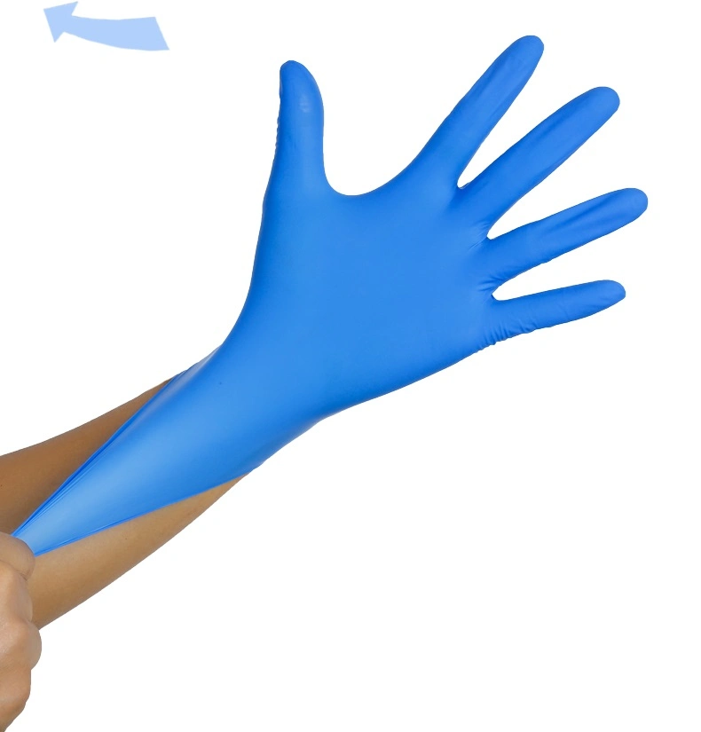 6nitrile Gloves Nitrile Examination Gloves Anti Bacterial Anti-Virus Dentist Examination