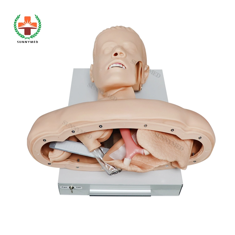 Sy-N04402 Medical Teaching Model Trachea Intubation Training Manikin