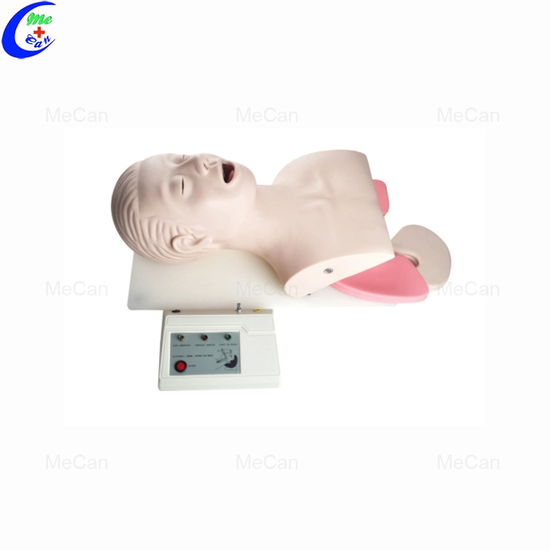 Electronic Endotracheal Intubation Training Model