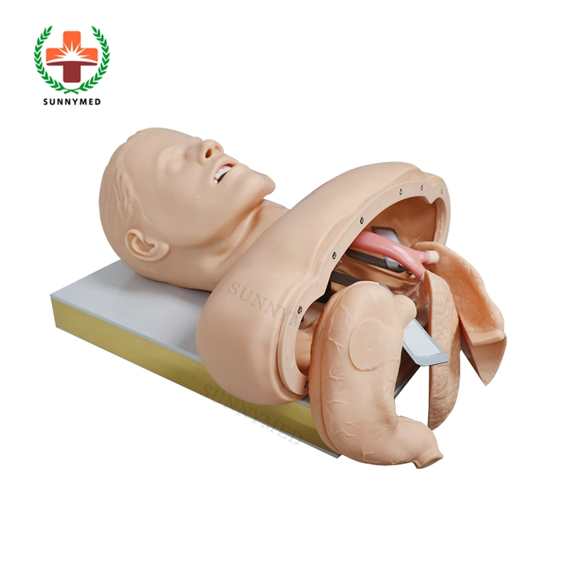 Sy-N04402 Good Quality Trachea Intubation Training Manikin Price