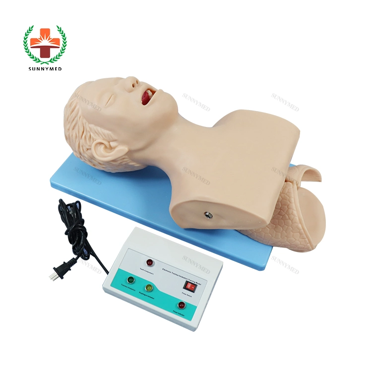 Sy-N044 Oral/Nasal Cavity Intubation Trainer Electric Trachea Intubation Training Manikin