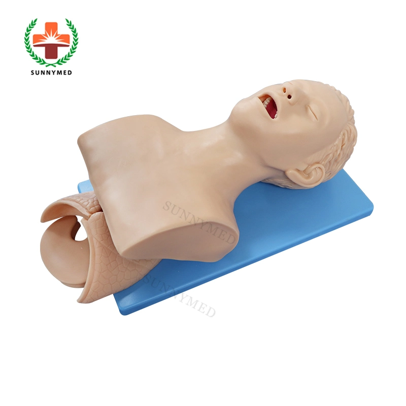 Sy-N044 Medical Electronic Trachea Intubation Training Model Manikin