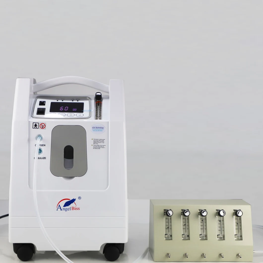 Copd Oxygen Therapy Oxygen Concentrator with 5-Way Divider