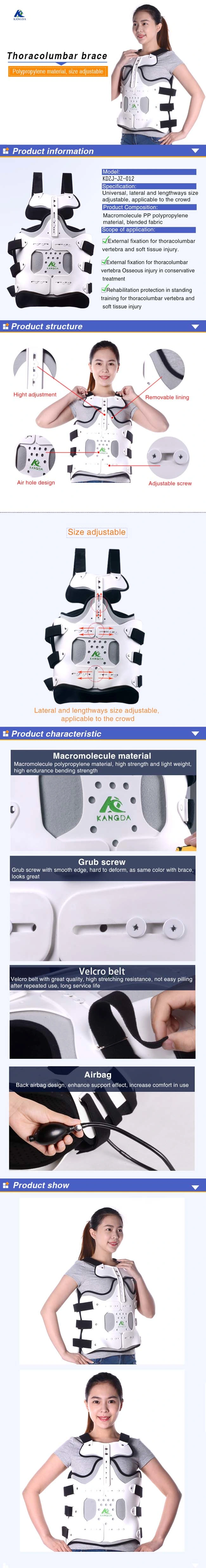 Ce FDA ISO Orthopedic Inflatable Lumbar Brace Waist Support Adjustable Back Brace